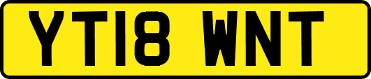 YT18WNT
