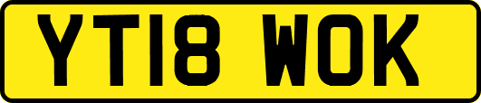 YT18WOK