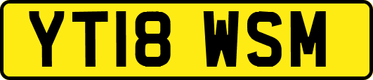 YT18WSM