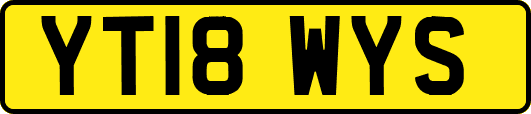 YT18WYS
