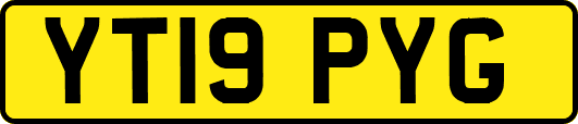 YT19PYG