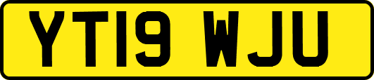 YT19WJU