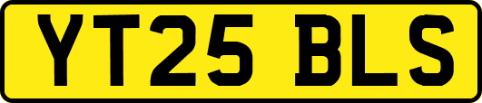 YT25BLS