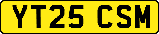 YT25CSM