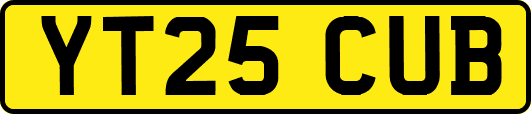 YT25CUB
