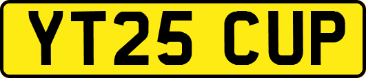 YT25CUP