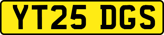 YT25DGS