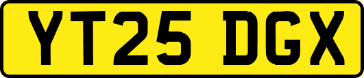 YT25DGX