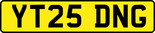 YT25DNG