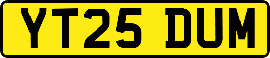 YT25DUM