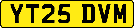 YT25DVM