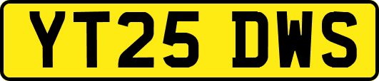 YT25DWS