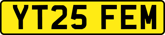 YT25FEM
