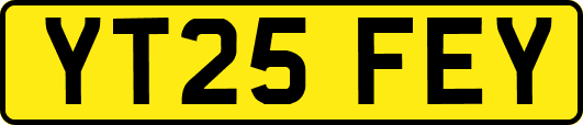 YT25FEY
