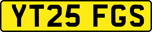 YT25FGS