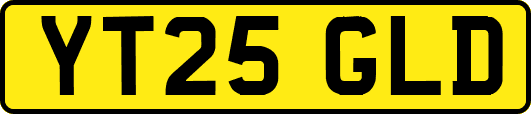 YT25GLD