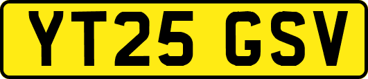 YT25GSV