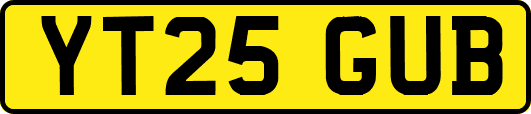 YT25GUB