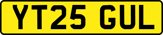 YT25GUL