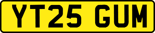 YT25GUM
