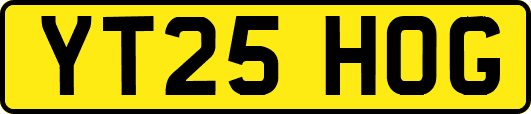 YT25HOG