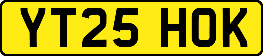 YT25HOK