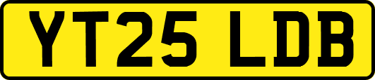 YT25LDB