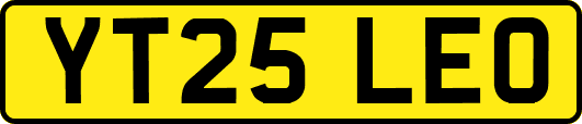 YT25LEO