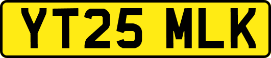 YT25MLK