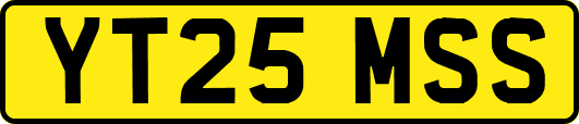 YT25MSS