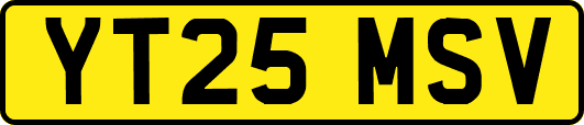 YT25MSV