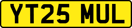 YT25MUL