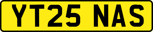 YT25NAS