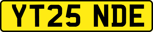 YT25NDE