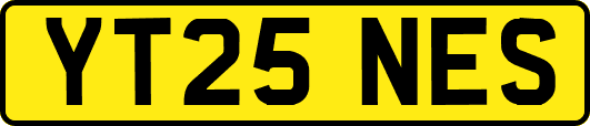YT25NES