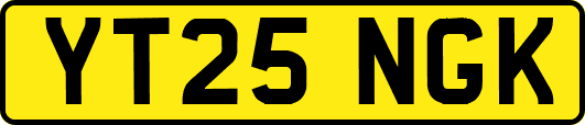 YT25NGK