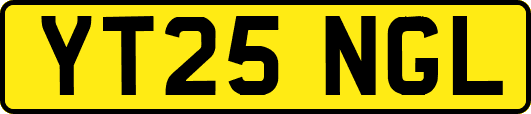 YT25NGL