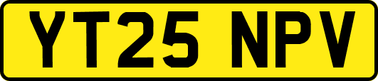 YT25NPV