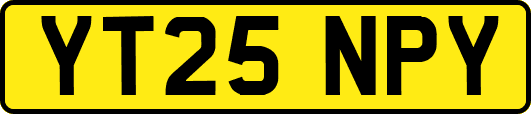 YT25NPY