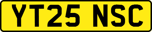 YT25NSC