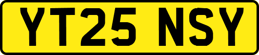 YT25NSY