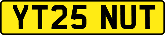 YT25NUT