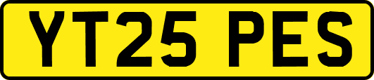 YT25PES
