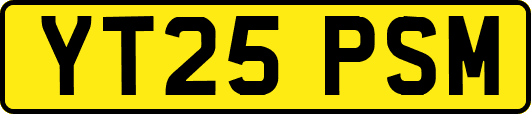 YT25PSM