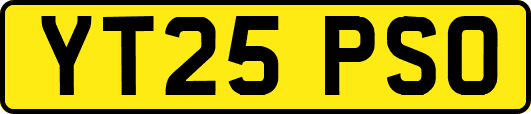 YT25PSO