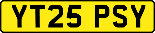 YT25PSY