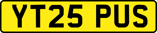 YT25PUS
