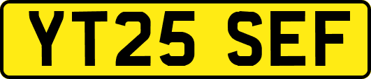 YT25SEF