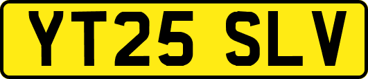 YT25SLV