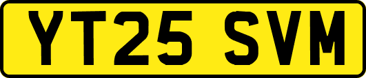 YT25SVM